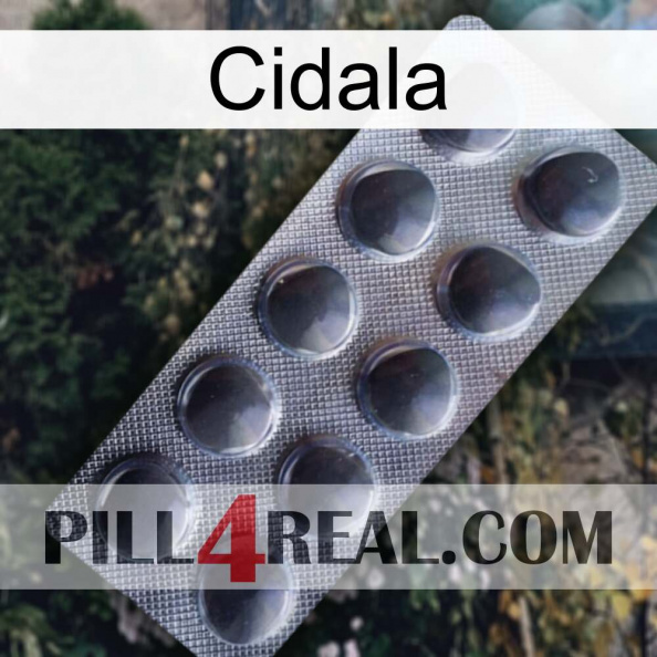 Cidala 30